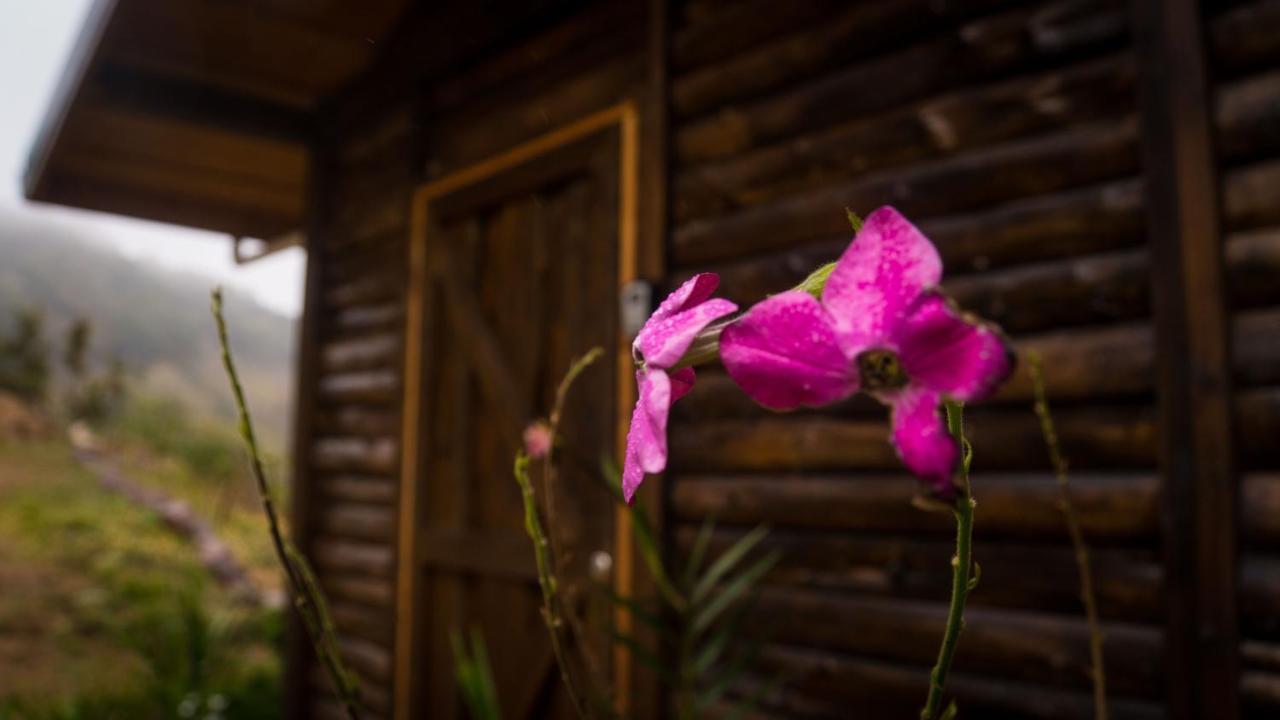 Finca Las Huellas: Cabana Acogedora En La Montana Vila Estrella Exterior foto
