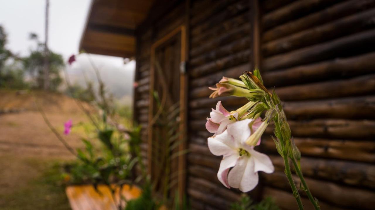 Finca Las Huellas: Cabana Acogedora En La Montana Vila Estrella Exterior foto